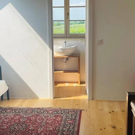 בית נופש Mimi Vendeghaz בלטונללה