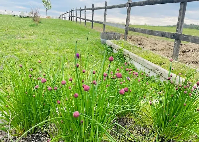 Hébergement de vacances Mimi Balatonlelle